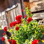 Spreewald